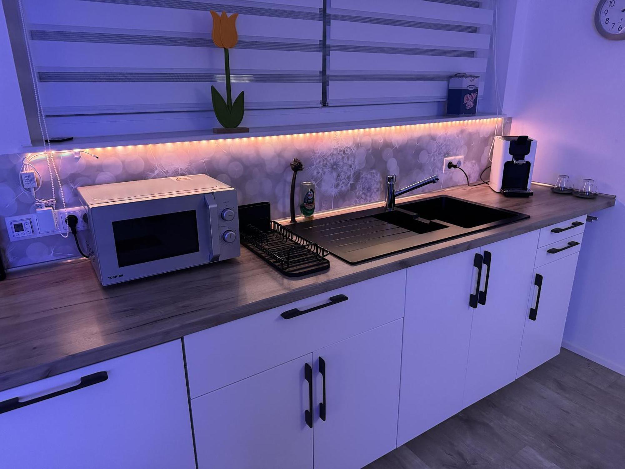 Ferienwohnung Alina Sinsheim Dış mekan fotoğraf